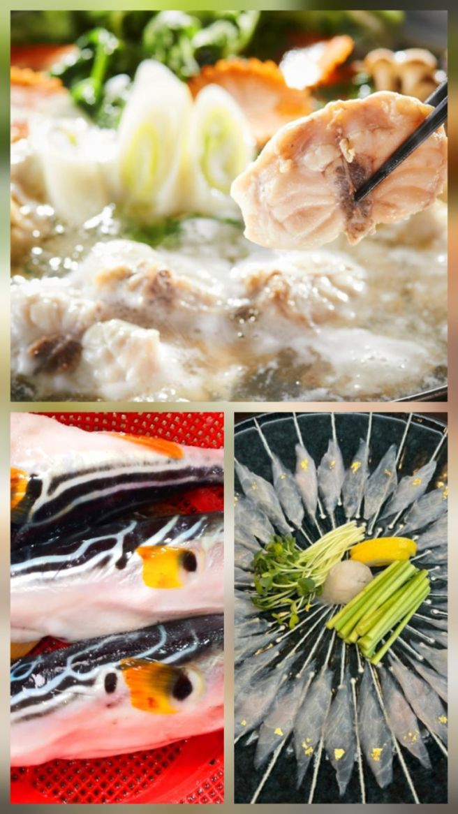 70년 된 김천 조일 복집 맛은 어떨까?