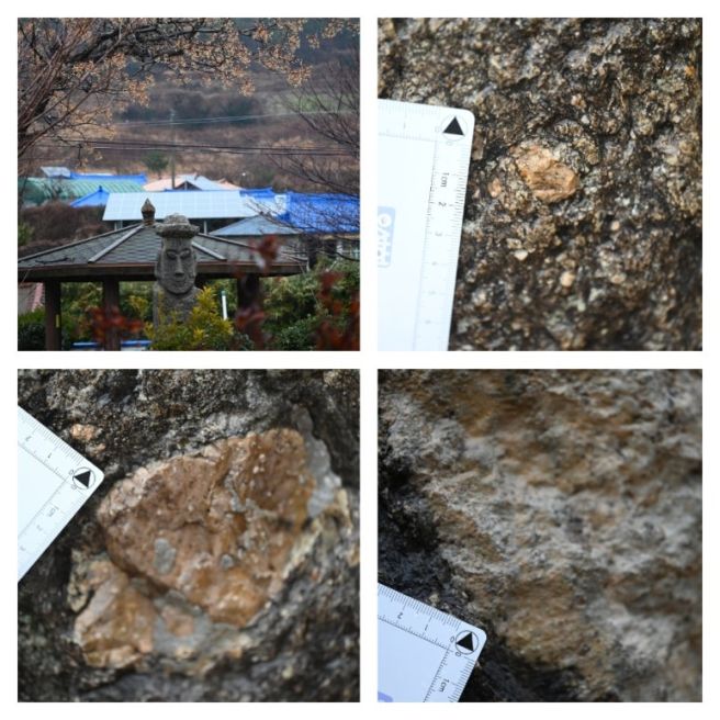 3월초 신안군 도초도에서 놀기