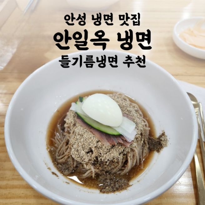 안성 냉면 맛집 안일옥냉면 들기름냉면 추천