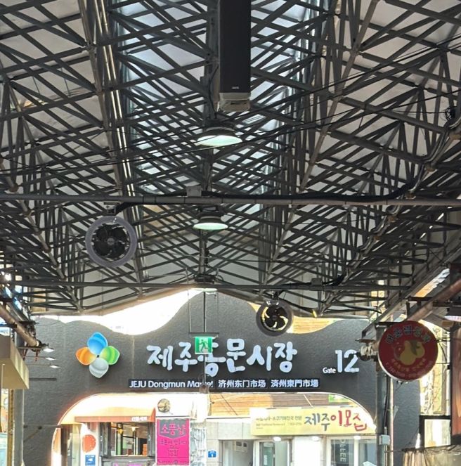 제주 동문시장 맛집 동진식당, 제주공항 근처 아침 식사 가능한 고기국수 맛집 솔직후기