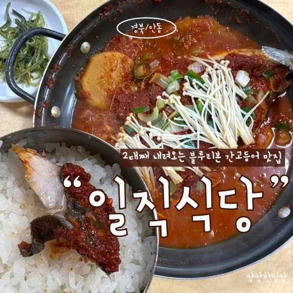 안동 간고등어 맛집 “일직식당” 조림부터 구이까지 내돈내산 솔직후기