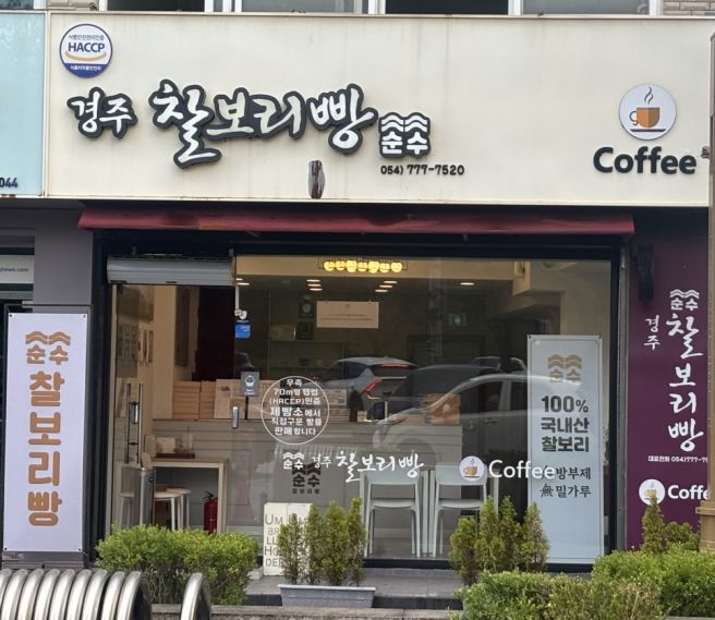 경주 황남빵 vs 최영화빵 비교 추천 후기 (찰보리빵은 어떠세요?)