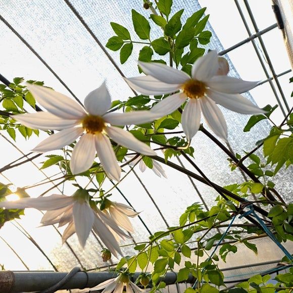 2026 3 29 팔도밥상페어 메가쇼 광교수원컨벤션센터 Eight Provinces of Korea Table Fair. Mega Show...