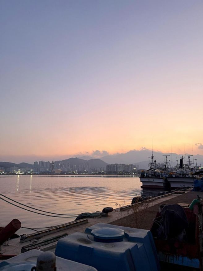 속초 맛집 후포식당 겨울 별미 도치알탕 내돈내산! 안 먹고 오면 후회하는 웨이팅 찐 후기★
