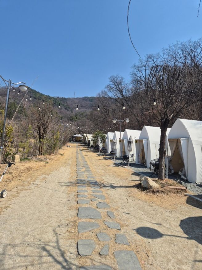 [대구/달성] 대구 근교 야외바베큐 현풍 '숲에가자' 당일 캠프닉 후기