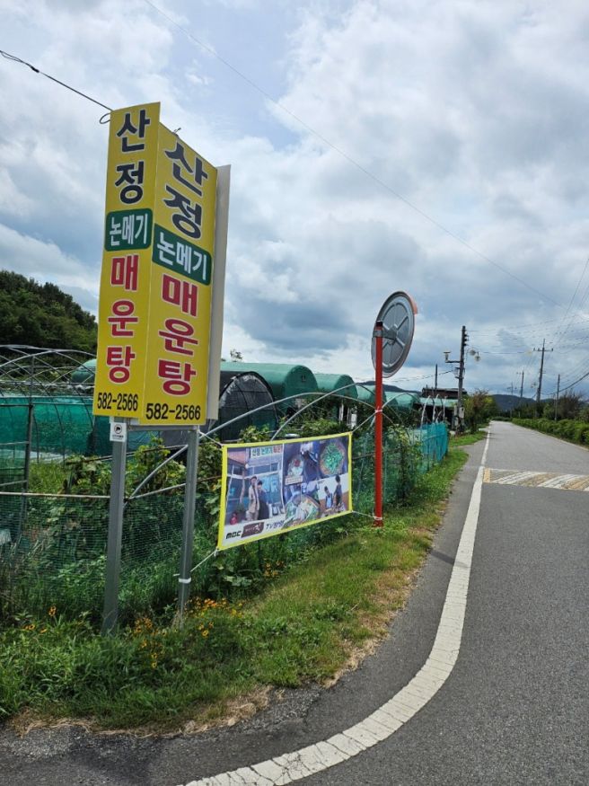 대구 "산정 논메기 매운탕"