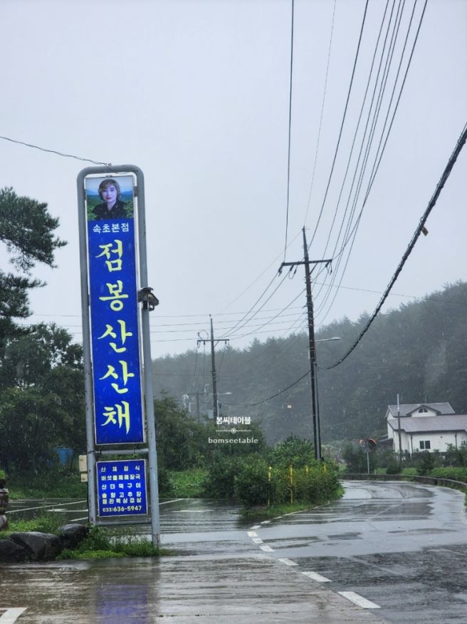 속초 점봉산산채 산나물에 진심인 식당