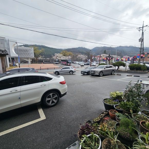 [3박 4일 여행]안동 월영교 헛제사밥까치구멍집 솔직리뷰