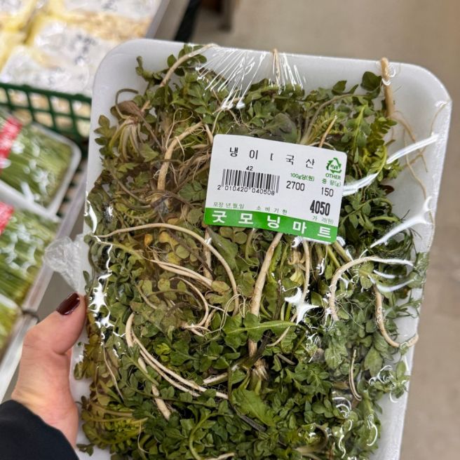 2026. 02. 주간 기록 #08 - 뭐 했다고 벌써 3월?