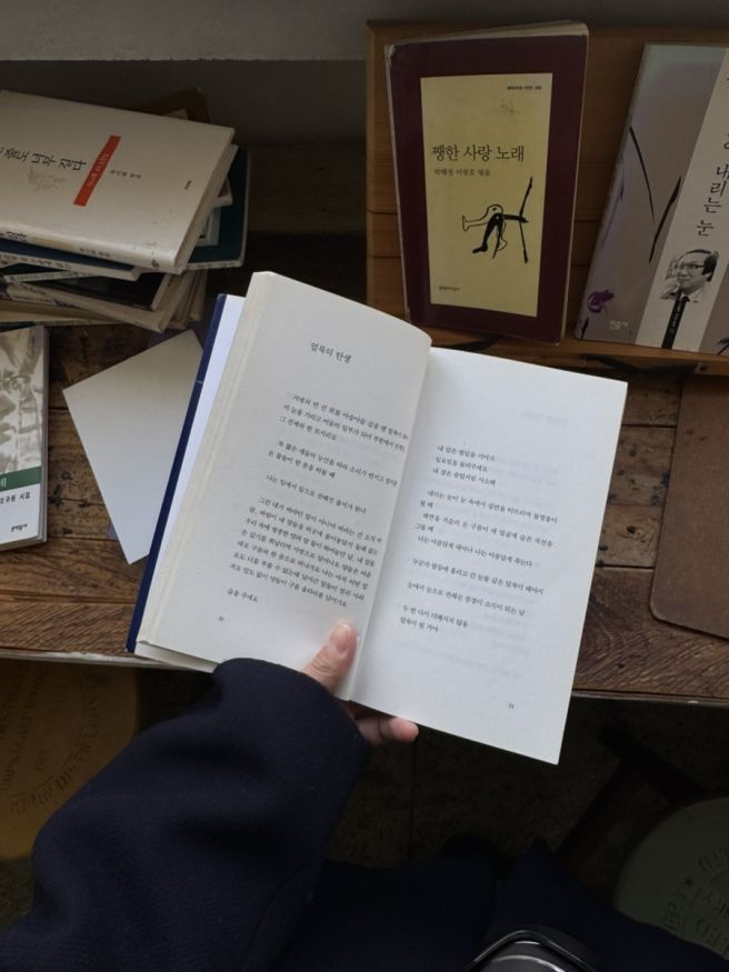 🍵 찻집 가려고 온 전주 겨울여행 | 서점 카프카, 혜연옥, 교동다원, 탐미주의