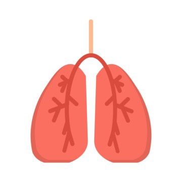24년 7월 (오타쿠) 일상(2) - 잘 먹고 잘 놀고 잘 사는 중