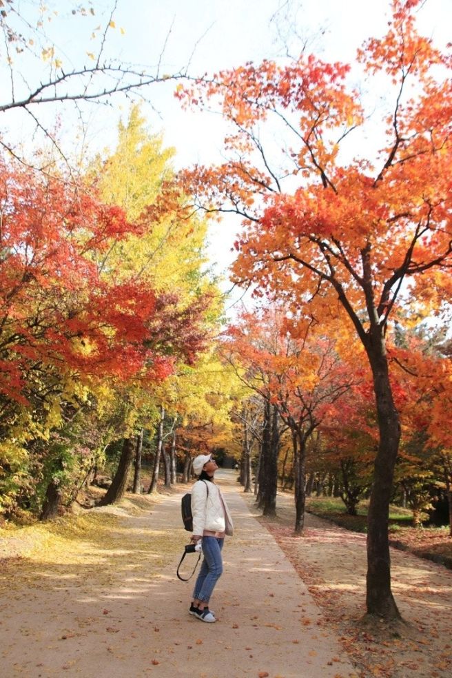 [전남]구례 화엄사근처 음식특화거리, 구례 화엄사근처 숙소추천 지리산햇살호텔