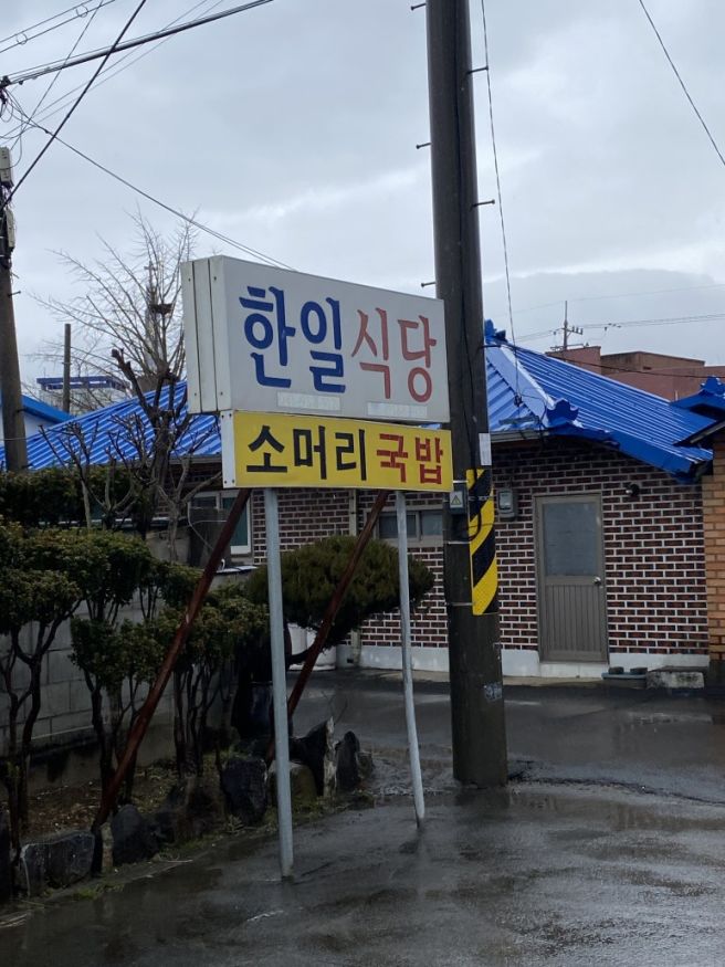 [대전 근교 여행] 보령 1박2일 코스 추천! 전현무계획 맛집부터 감성 양조장까지 완벽 정리 (feat. 비...