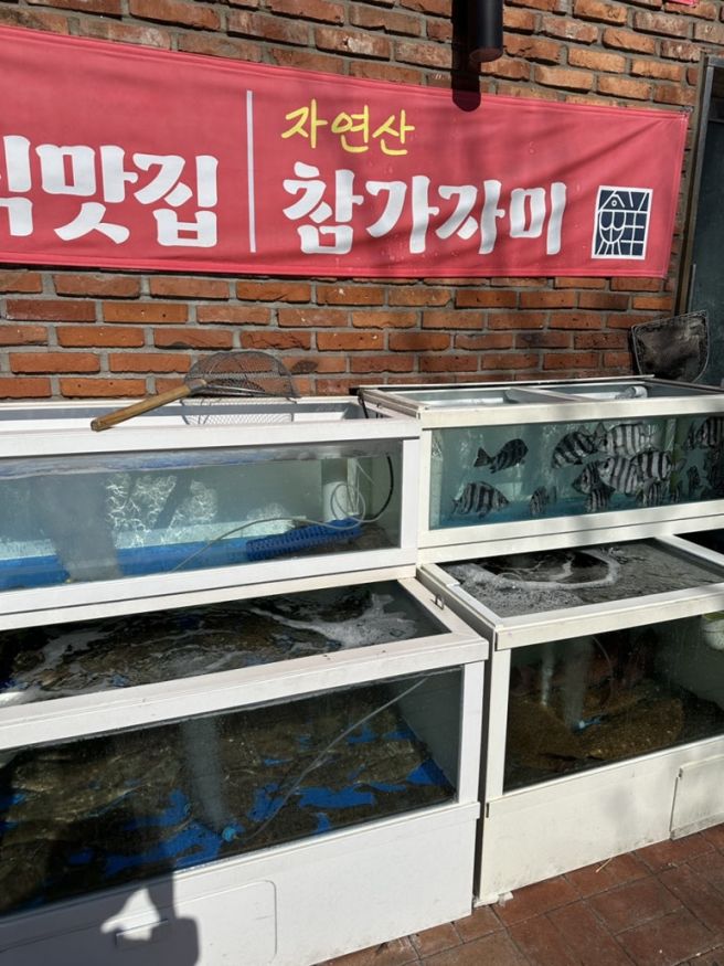 달성군 테크노폴리스 선한어부 횟집 모둠회 한상 후기