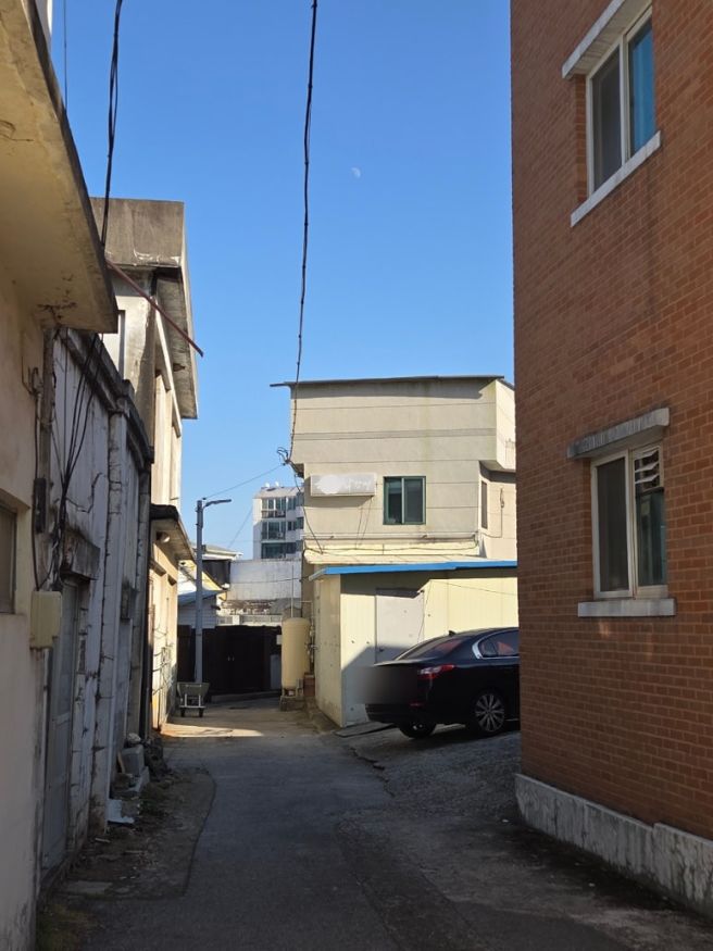 이상하게 맛있다 - 삼척 문화제과, 매력적 꽈배기 맛집