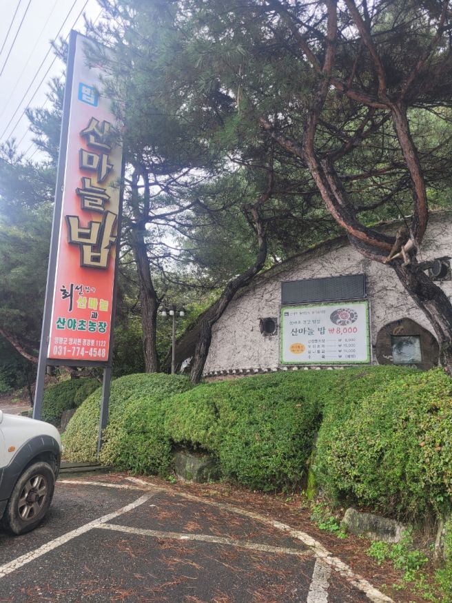 [경기양평맛여행] 양평 산마늘밥