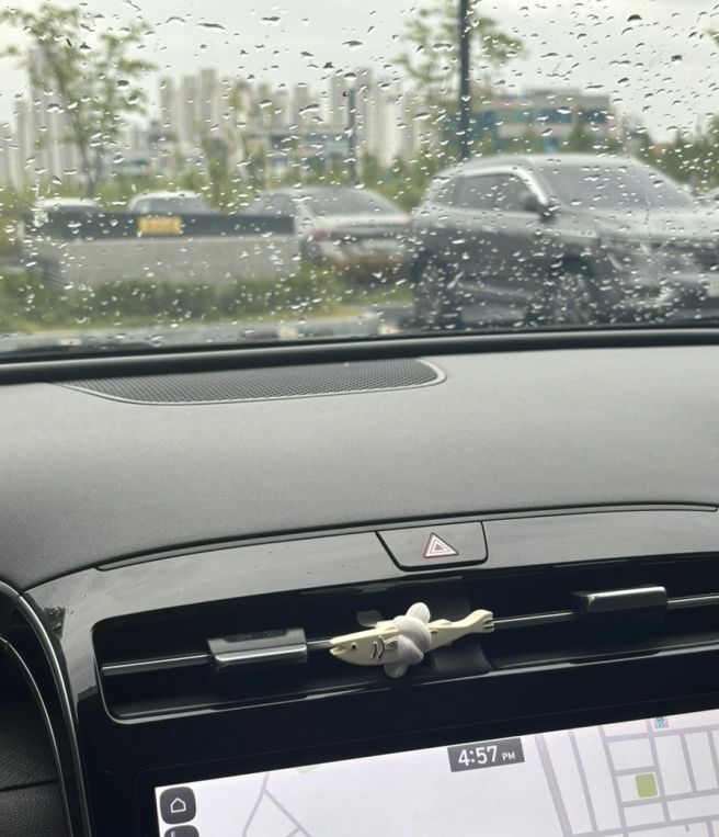 또 다시 찌는 데이트로그