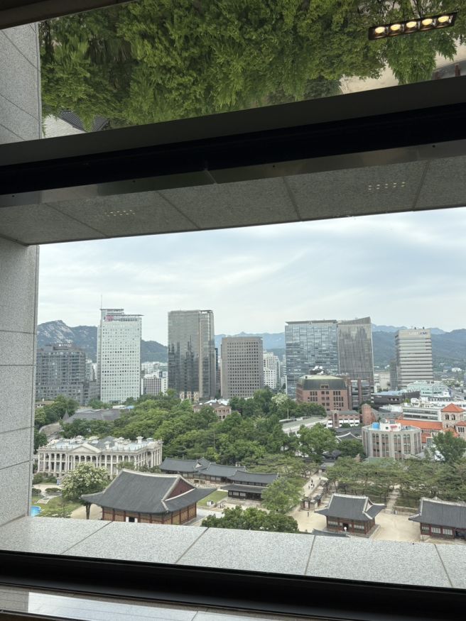 남대문 꽃시장 구매 꿀팁 주황장미 카페정동전망대 은호식당 데이트 여행 코스 추천