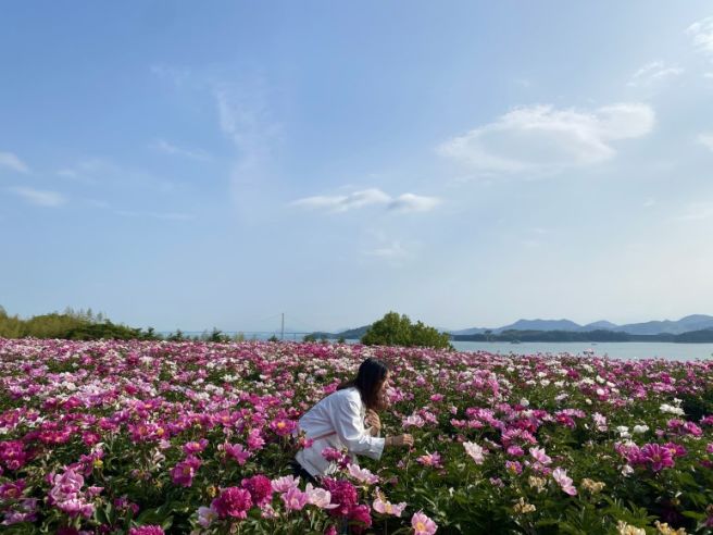 여수 고흥 2박 3일 여행 2편 고흥 작약꽃밭, 우주발사전망대, 쑥섬, 녹동항 하모 샤브샤브까지