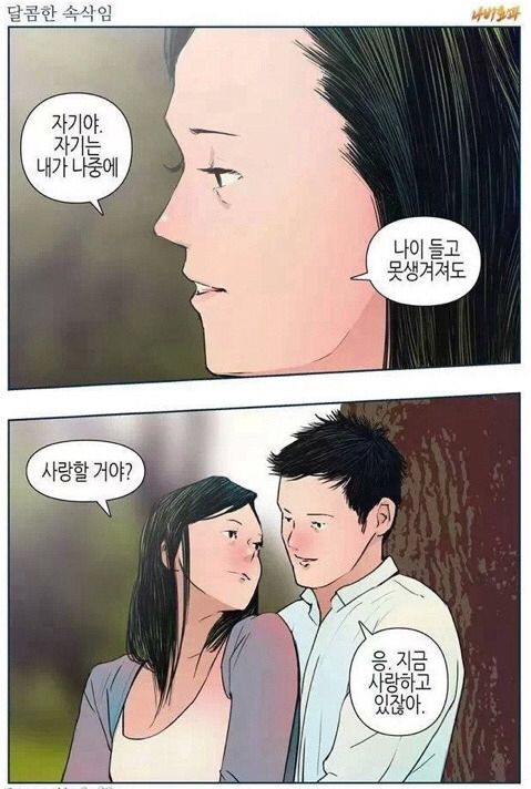 뷰어 이미지