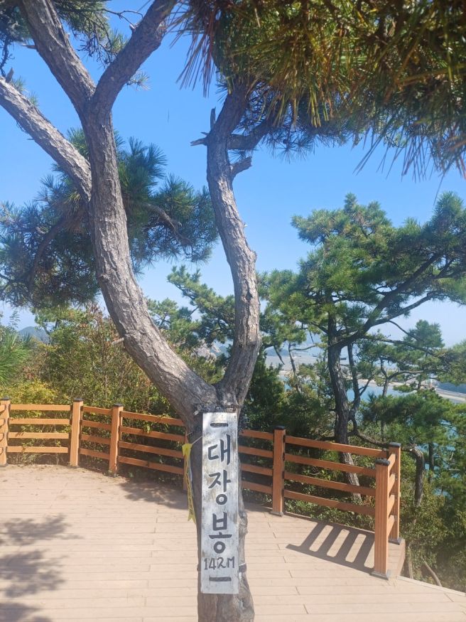 [군산]소문난 분식_선유도 대장봉_군산실비회집_빵굽는 오남매_260930
