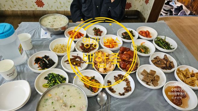 영광 백수 맛집을 찾아서 파라원 맛집투어 백합죽 한성식당과 백수식당