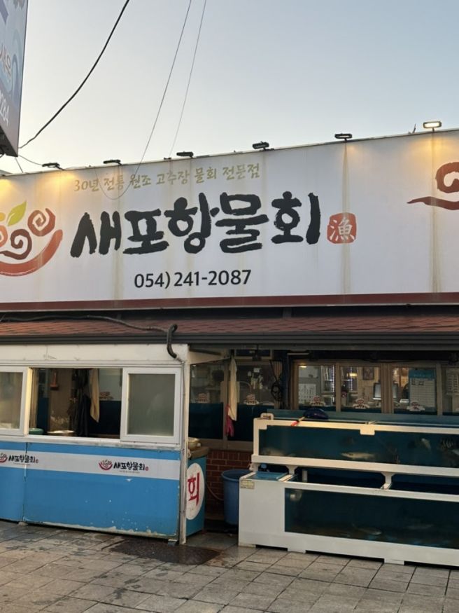 [포항맛집] 새포항물회