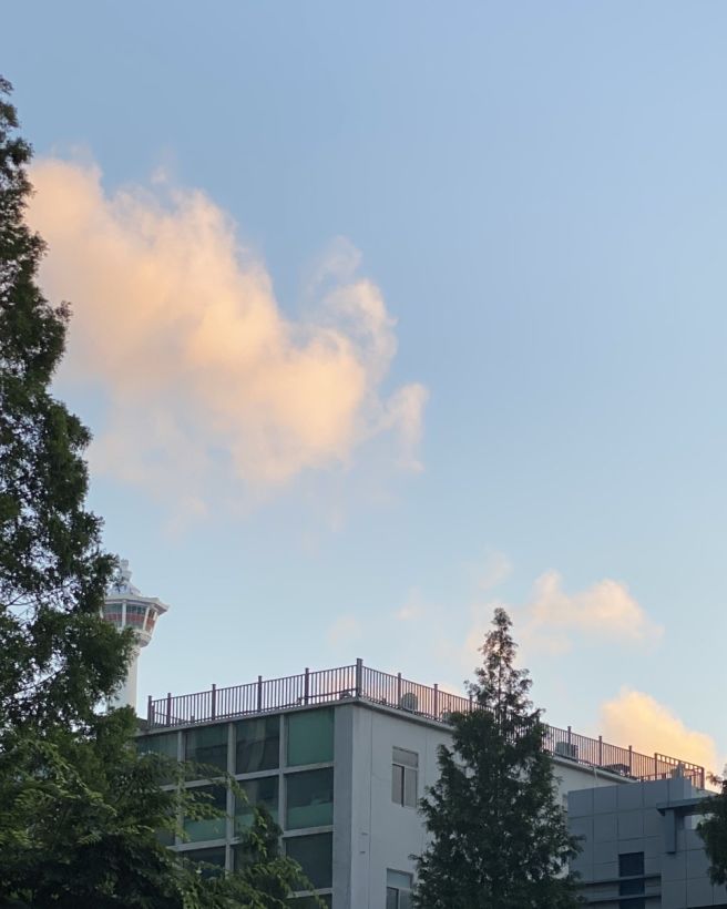 부산 중구 중국집 | 동해반점 개화 만리향 유원 동궁 동주각 옥성반점 동화반점 편의방
