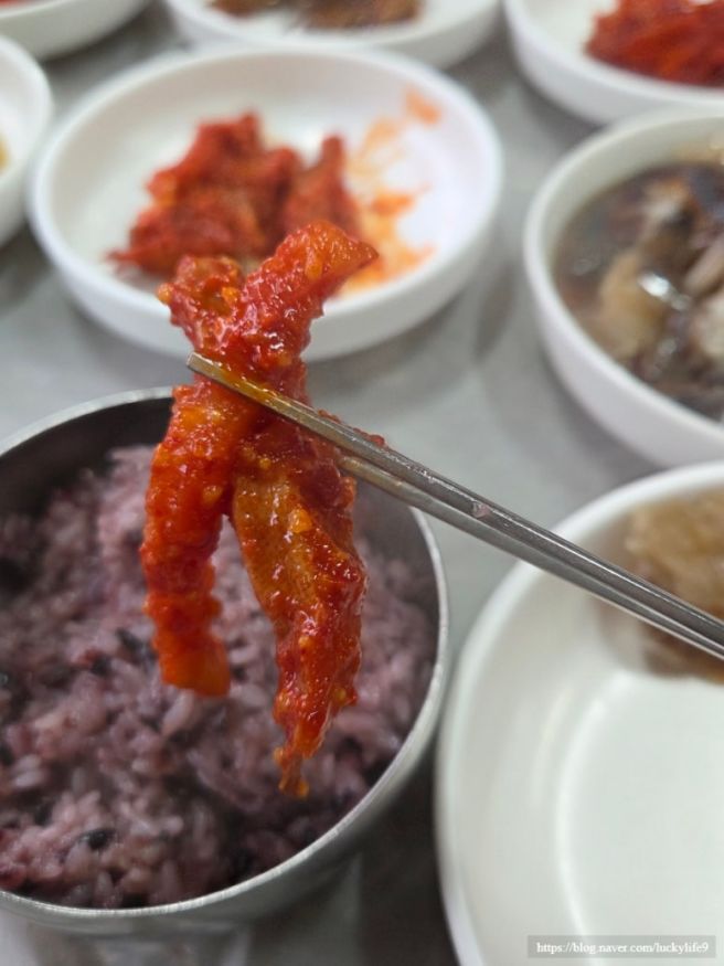 속초 현지인 찐 맛집 가성비 생선조림 아침 후포식당 주말 웨이팅