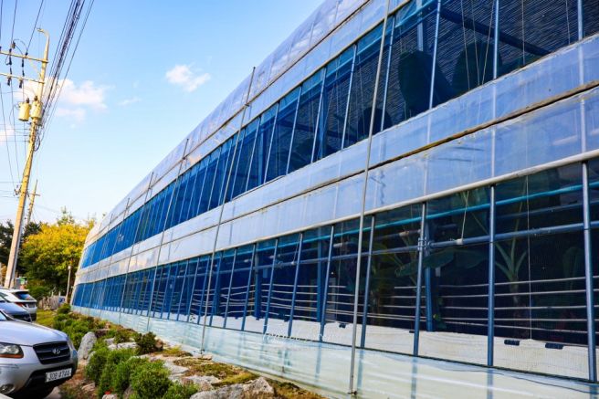 영주 카페 추천 사느레정원 사계절 내내 꽃이 피는 정원