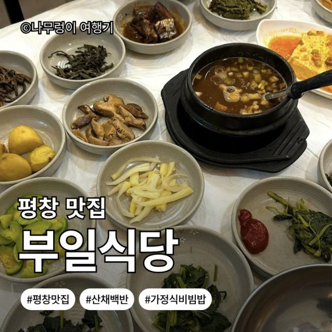 [강원도 평창군]대관령양떼목장 근처 맛집 추천｜부일식당 산채백반 내돈내산 후기