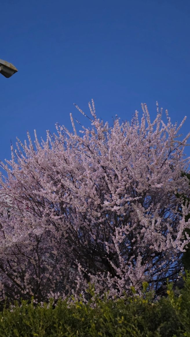내돈내산 대구 일경식당 동구시장 순대국밥 맛집 세번째 방문 솔직후기