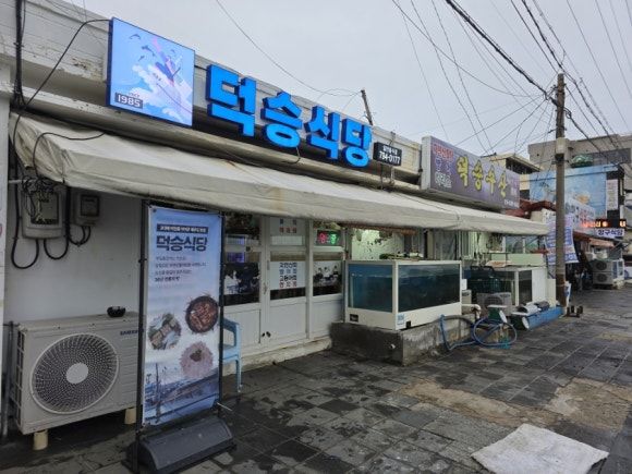 블루리본 13개가 증명하는 직접 잡은 자연산 활어만 취급하는 제주 모슬포항 맛집, 덕승식당