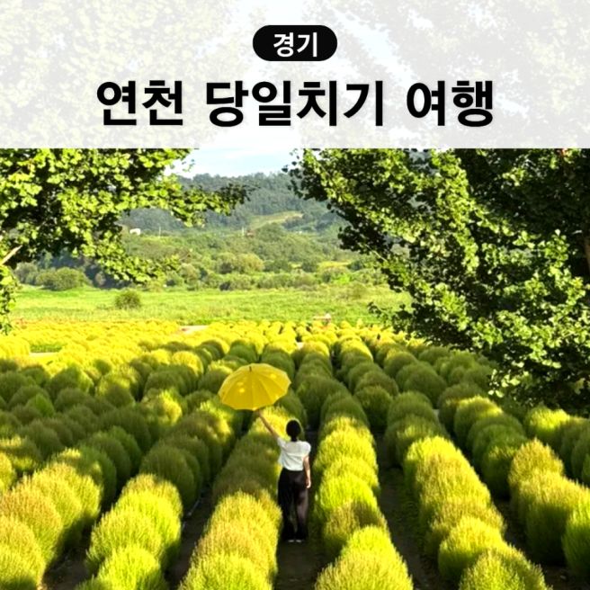 경기도 당일치기 연천 여행 코스 가볼만한곳 7곳 댑싸리공원 카페 등