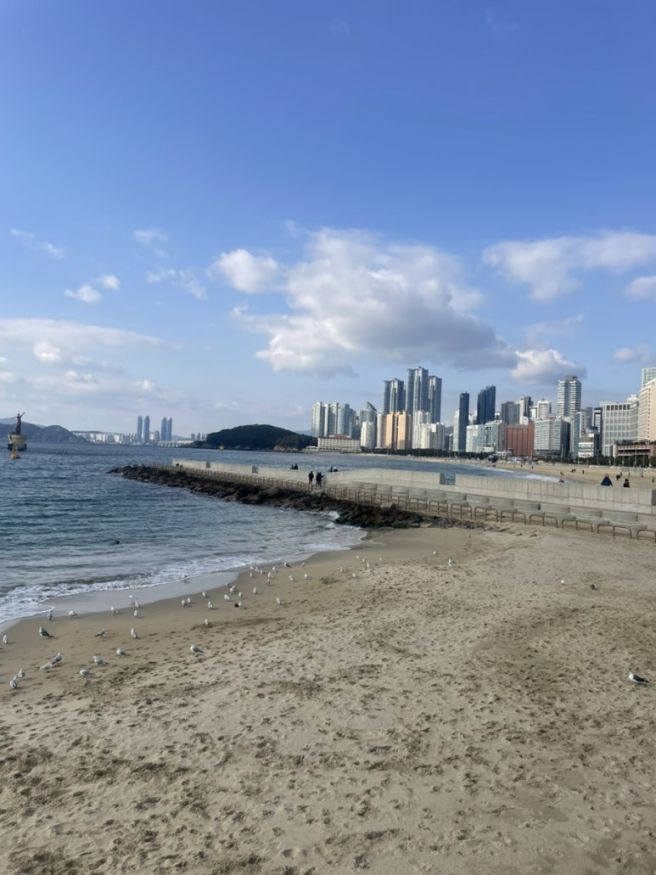 부산 해운대 맛집, 박옥희 할매집원조복국 아침식사