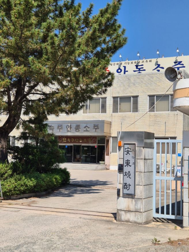 [안동 1박2일] 안동 여행 가볼만한 곳 (소주박물관, 도산서원, 하회마을 등)