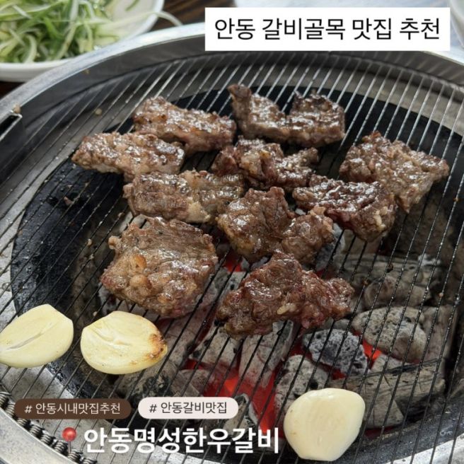 안동 시내 맛집 추천, 안동명성한우갈비 후기 (갈비골목 맛집·주차 안내)