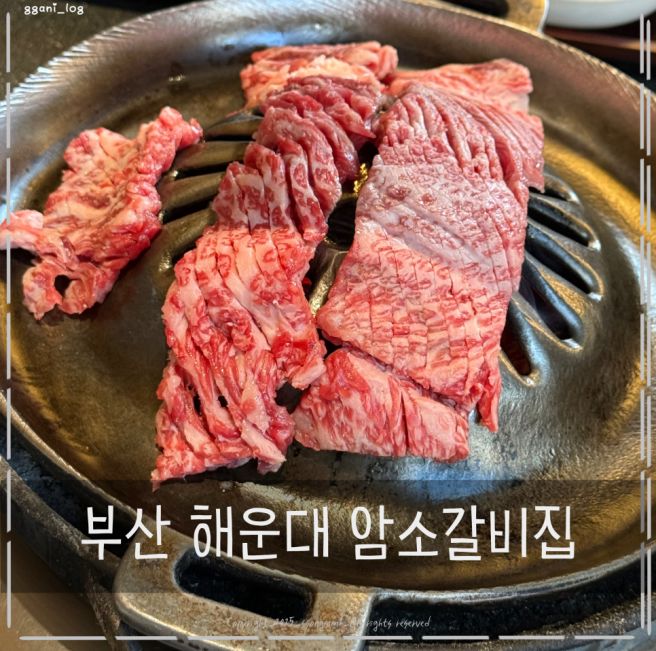 해운대 암소갈비집 캐치 테이블 후기
