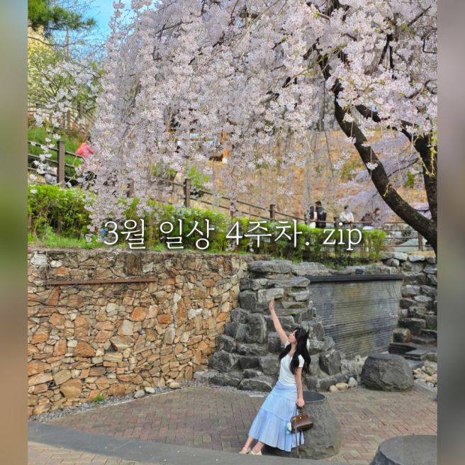 [일상] 3월 4주차 - 다이어트 작심이일, 벚꽃놀이 주간, 엄마 옷쇼핑