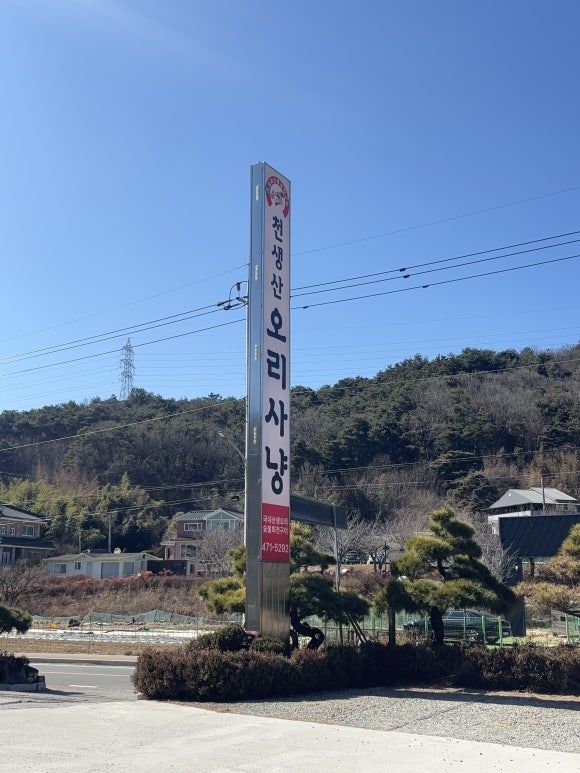 구미인동맛집 천생산오리사냥 오리불고기 후기