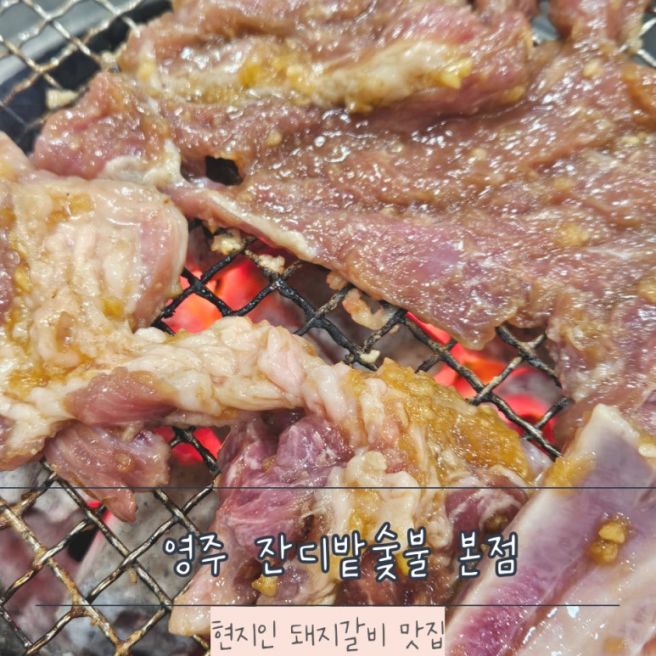 영주 잔디밭숯불 본점 현지인 돼지갈비 맛집