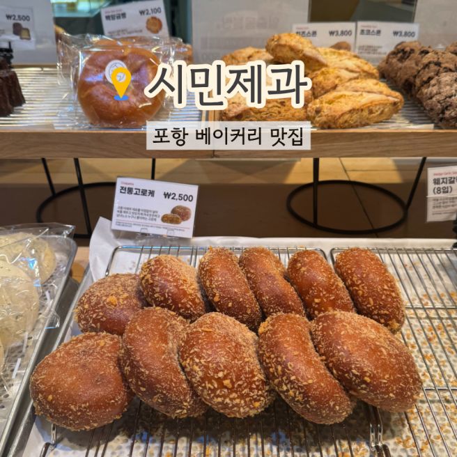 포항 북구 카페 추천 시민제과 빵지순례 빵집