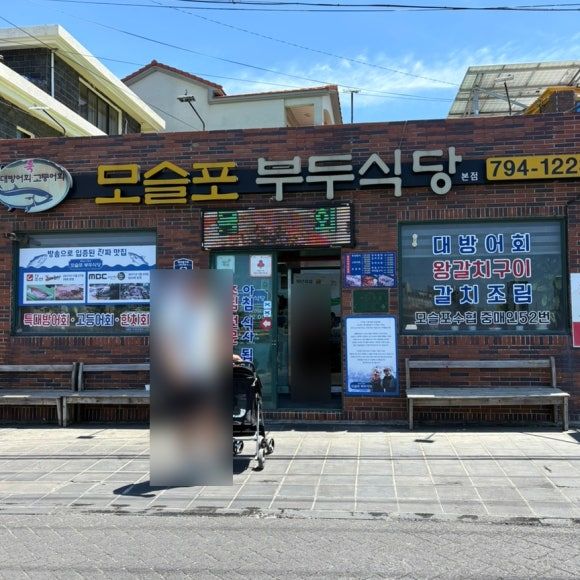 제주 대정 모슬포 부두식당 한치가 제철이다~! 내돈내산 리뷰🔫