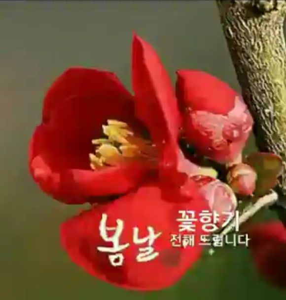 생각대로 이미지