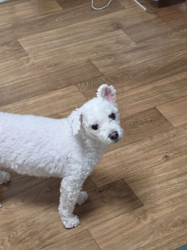 벌써 10월 중반이라니! 몰아 적는 일상