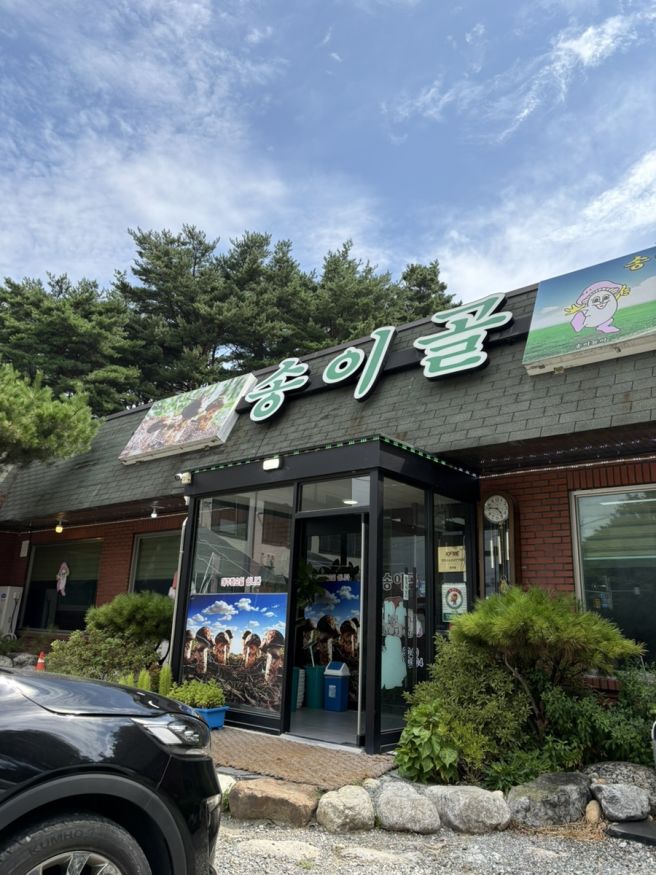 아기랑 양양, 송이골 송이돌솥정식 내돈내산 맛집