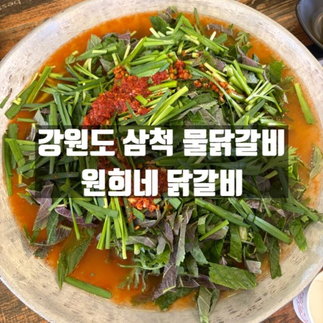 강원도 삼척 물닭갈비 맛집 원희네 닭갈비 내돈내산 방문후기