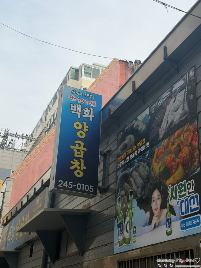 부산 남포동 맛집 백화양곱창 친절한 12호