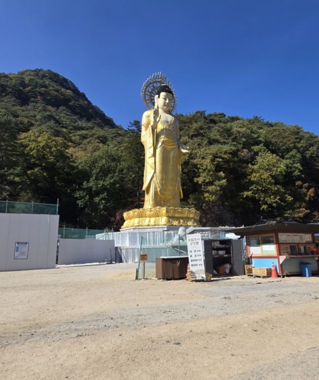 속리산 법주사 보은여행 가을국화향연 단풍
