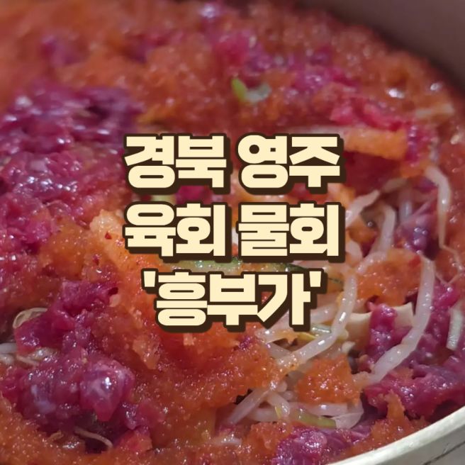 ​[영주 맛집] 영주 흥부가 육회물회와 불고기비빔밥, 반찬 가득한 현지인 추천 핫플 솔직후기